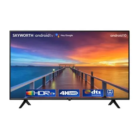 Skyworth 24" Digital TV